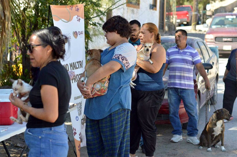 Realizó DABA varias actividades en favor de los animalitos este fin de semana
