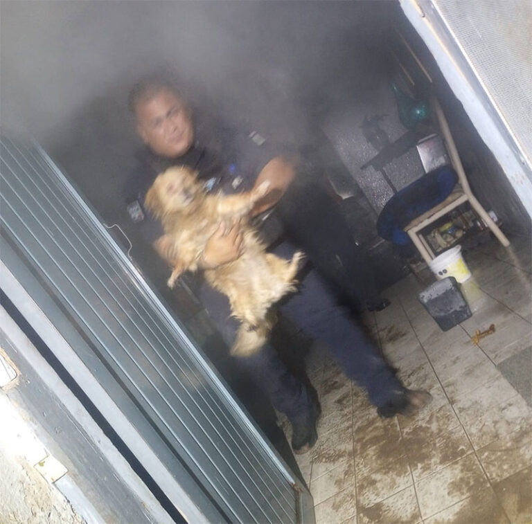 Auxilia Policía Municipal a adulta mayor y rescatan a perro durante incendio en casa habitación