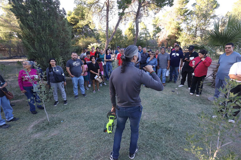 Impulsa Municipio participación ciudadana para mejorar arbolado de la ciudad
