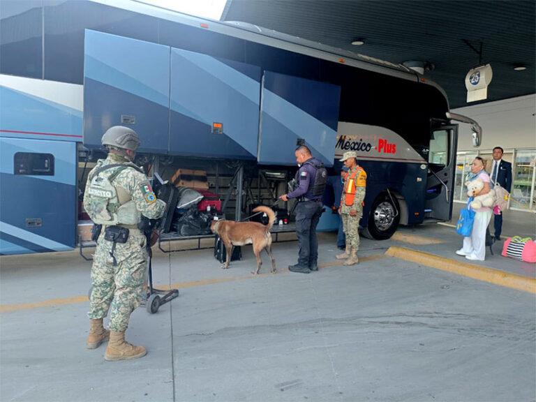 Refuerzan DEFENSA y Policía Municipal labores preventivas en Central de Autobuses con apoyo del agrupamiento K-9