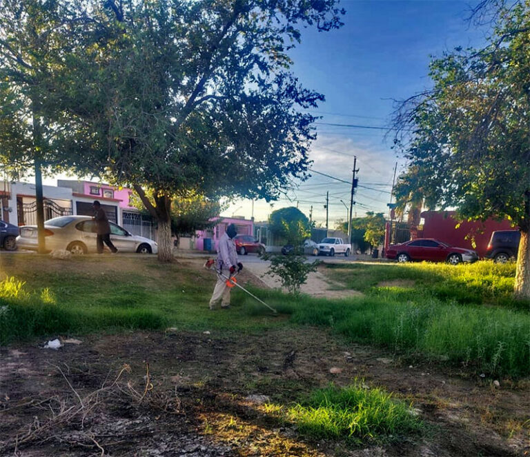 Mantiene Municipio labores de mejoramiento en espacios públicos