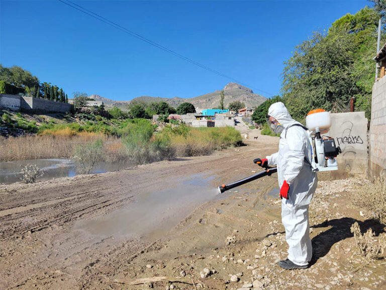 Continúa Ecología nebulizando diversos sectores de la ciudad afectados por las lluvias