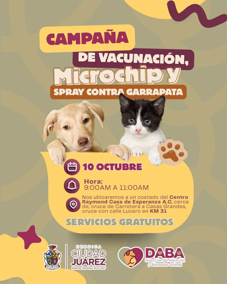Llevará DABA sus servicios este sábado al Kilómetro 31 y a la Secundaria Técnica 44 el domingo