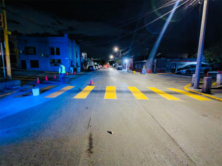 Seguridad Vial delimita señalización peatonal y líneas de frenado en diferentes puntos de la ciudad