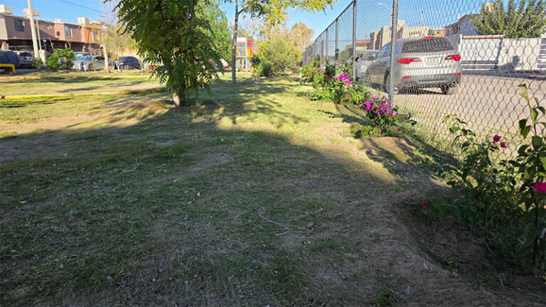 Realizan trabajos de mantenimiento en espacios públicos de la ciudad